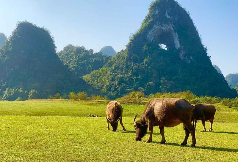 HA NOI - CAO BANG - BAN GIOC WATER FALL - NGUOM NGAO CAVE 2 DAYS 1 NIGHT - Image 3